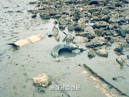 쓰레기로 오염된 바닷가